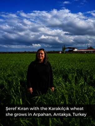 Help Women Bake a Fairer Food Future in Turkiye