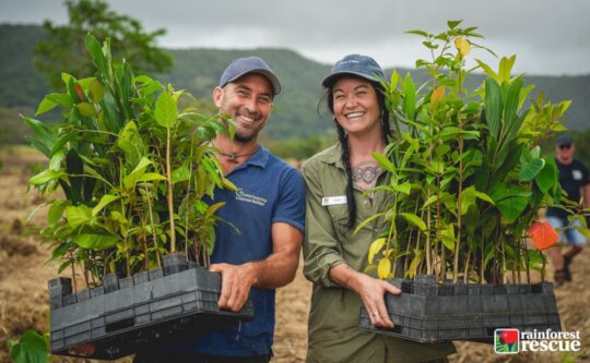 Securing the Oxbow Wetland for Future Conservation