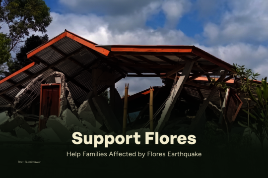 Help Families Affected by Flores Earthquake