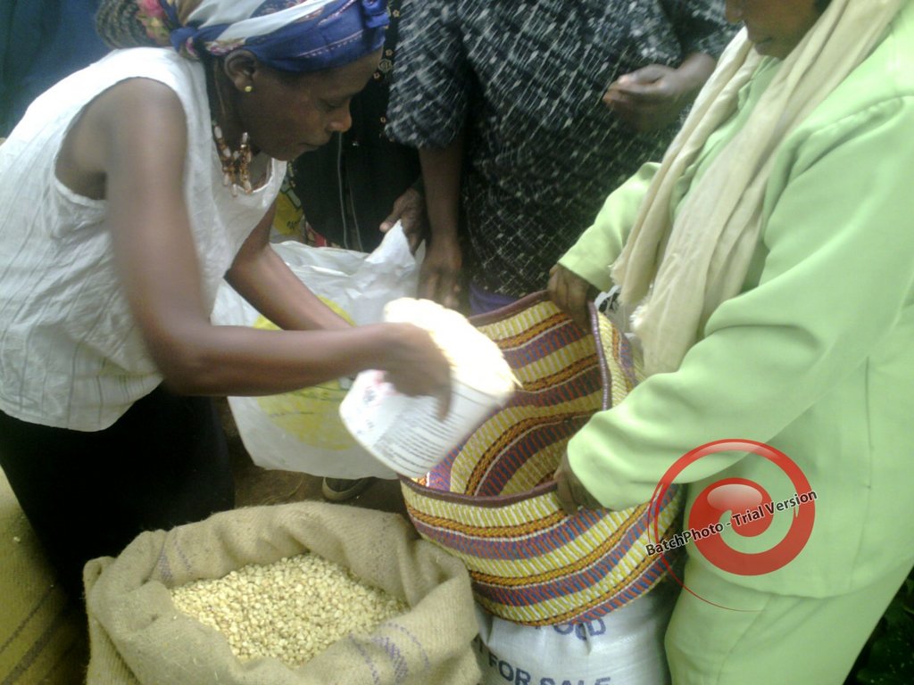 Sanitary towels progrm to 1000 poor girls in Kenya GlobalGiving