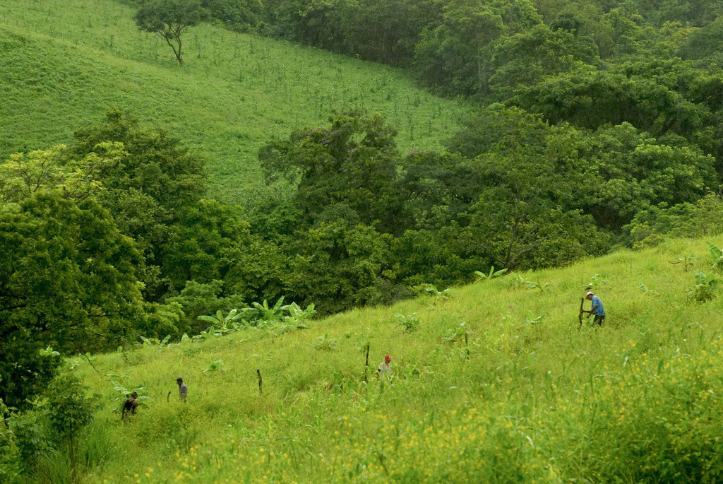 Support Sustainability for Nicaraguan Farmers GlobalGiving