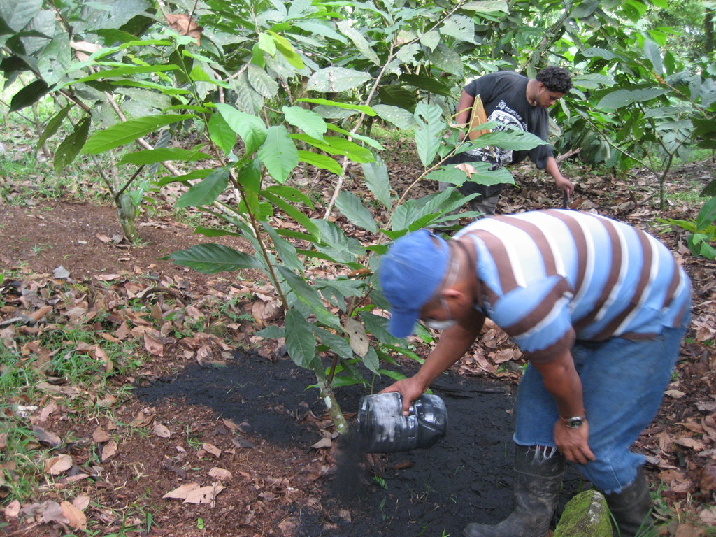 Biochar cook-stoves save lives and trees - GlobalGiving