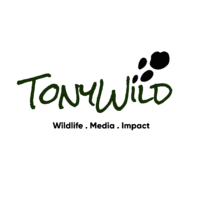 Tonywild Foundation Limited