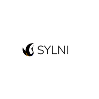 CHARITABLE ORGANIZATION CHARITABLE FOUNDATION SYLNI