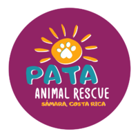 Asociacion PATA para los animales de Samara