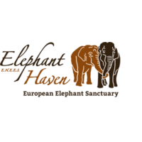 Elephant Haven - European Elephant Sanctuary (EHEES)