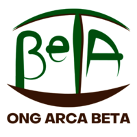 ONG ARCA BETA