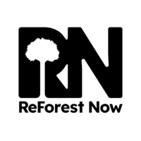 ReForest Now