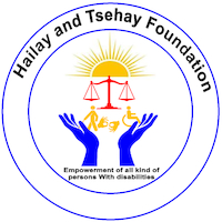 Hailay and Tsehay Foundation