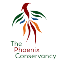 Phoenix Conservancy