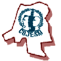 Collectif des Organisations des Jeunes Solidaires du Congo-Kinshasa