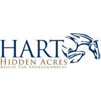 Hidden Acres Rescue for Thoroughbreds