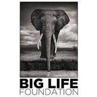 Big Life UK