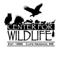 Center for Wildlife