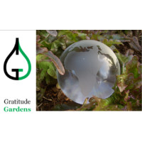 Nicholas Heyming - Individual Grantee