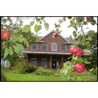 Women's Environmental Institute