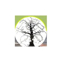 FACE	(Federation of Associations for Community Empowerment)