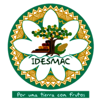 Instituto para el Desarrollo Sustentable en Mesoamerica A.C.