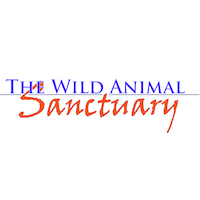 The Wild Animal Sanctuary