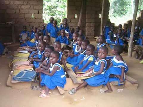 Image for Build School Gardens for Orphan Cameroon