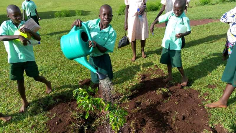 Image for The green schools project 