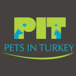 PETS IN TURKEY