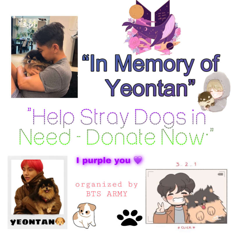 Image for Tannie’s Pawprints: Giving Back to Strays