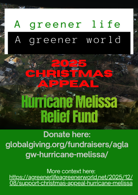 Image for Support our 2025 Christmas appeal fundraiser for Hurricane Melissa