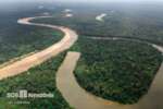 SOS Amazônia